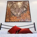 La Collina D'oro Nyaraló